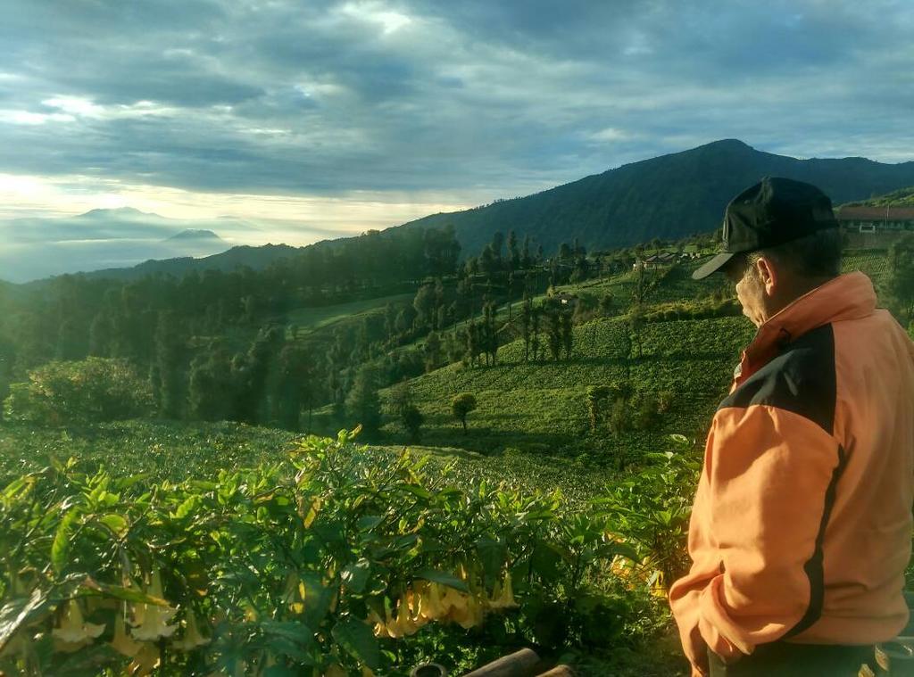 Bromo Otix Guest House 외부 사진