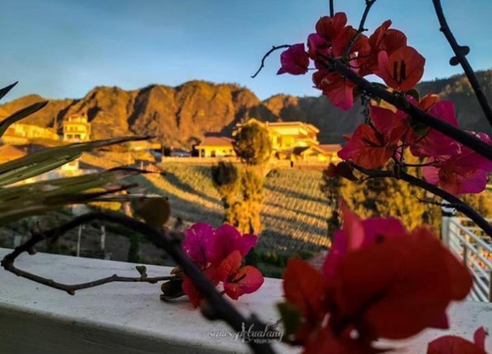 Bromo Otix Guest House 외부 사진